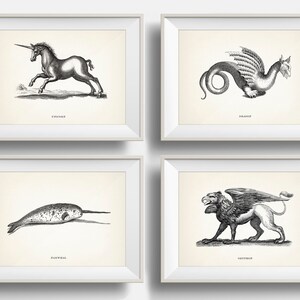 Beasts & Monsters Series - Set of Four - OE-29-32 - Fine art prints of vintage natural history drawings