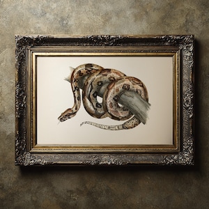 May include: A framed print featuring a detailed illustration of a snake coiled around a branch. The snake has a brown and tan pattern. The frame is ornate with a dark finish and gold accents, adding a vintage aesthetic.