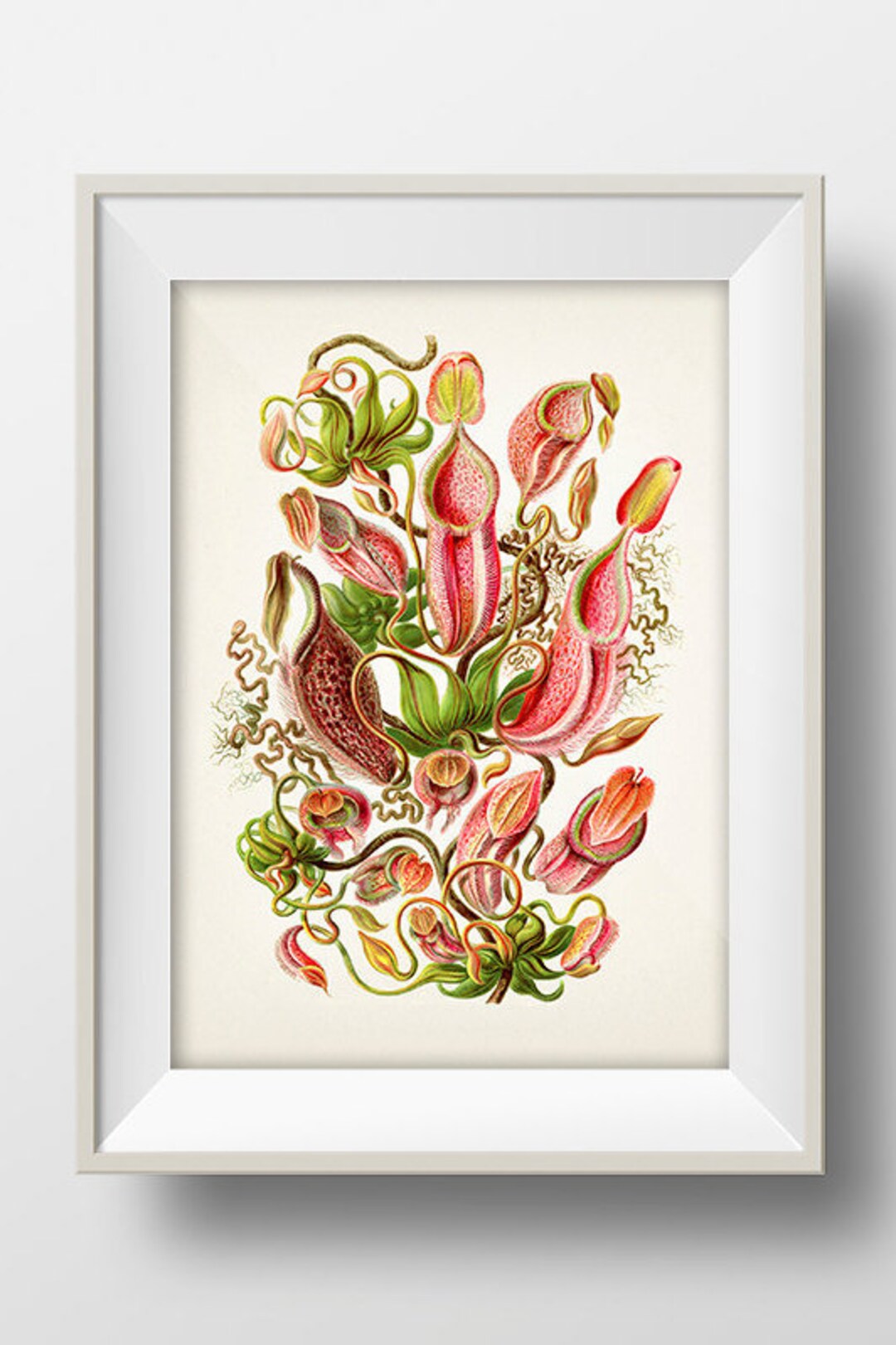 Carol Smith フラワー　複製画　額装 オンライン限定商品】 Carol Smith フラワー複製画額装 絵画 - 絵画
