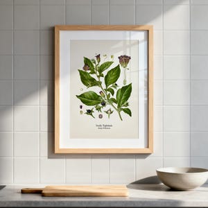 a framed botanical illustration of a plant with green leaves and purple flowers, hanging on a wall above a wooden cutting board and a white bowl on a kitchen counter.