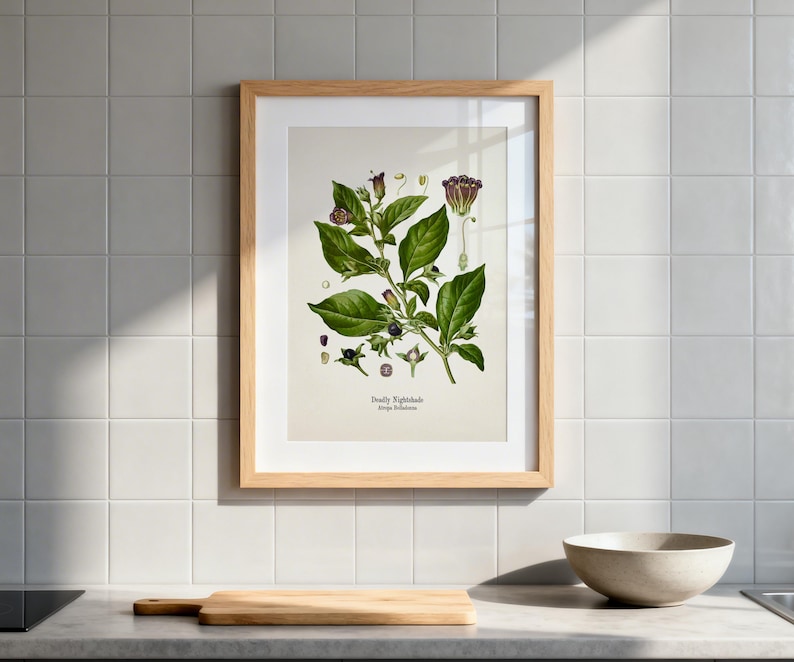a framed botanical illustration of a plant with green leaves and purple flowers, hanging on a wall above a wooden cutting board and a white bowl on a kitchen counter.