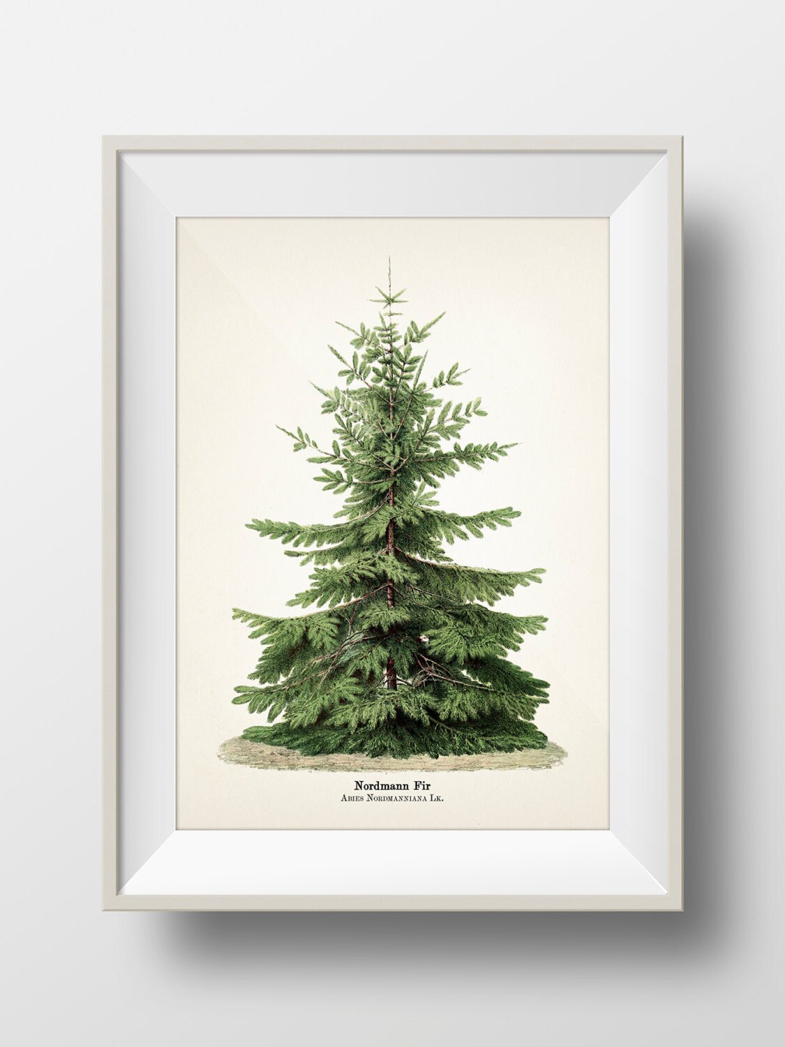 Christmas Tree Botanical Print Holiday Wall Art INCLUDES Etsy