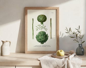 Artichoke, Asparagus, Sea Fennel, Vegetables [1870 Veg #10] VE-10 Vintage Botanical Illustration of Edible Food Plants. Kitchen Wall Decor