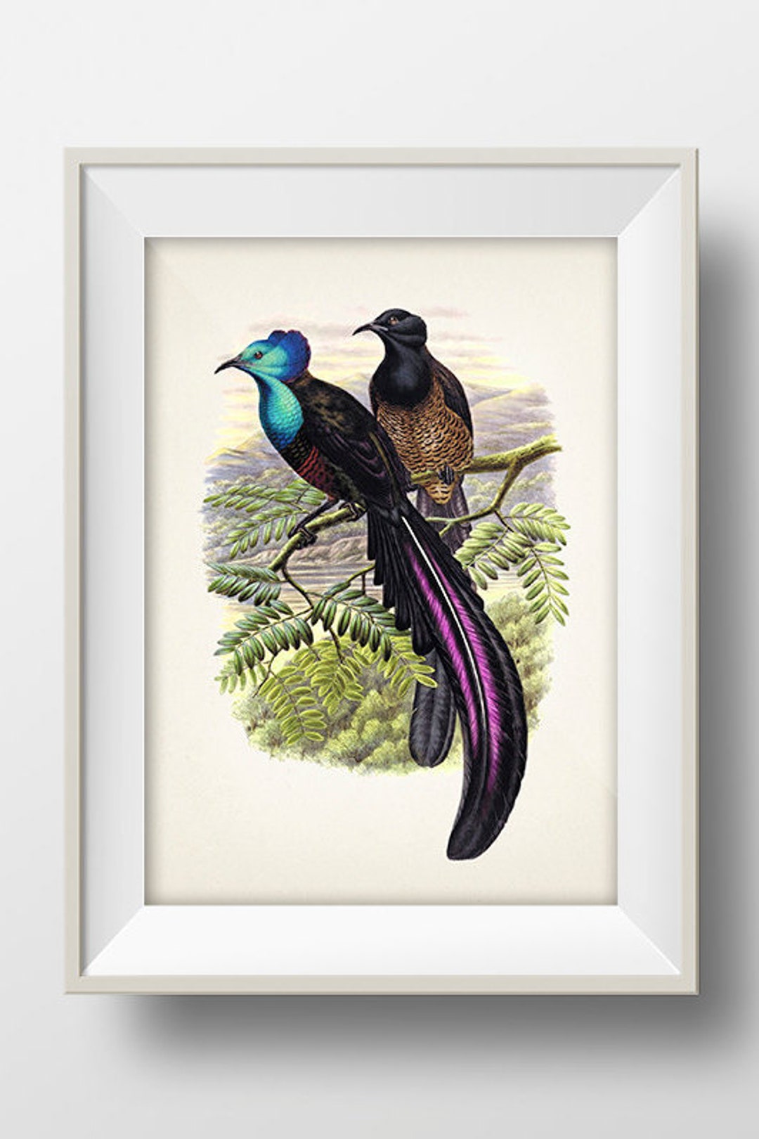 Rosemary Bird作 アボリジニアート Rosemary Bird作 アボリジニアート アボリジニ・アート 点描画