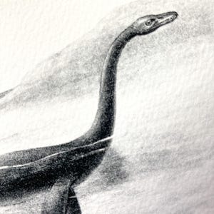 Nessie, Loch Ness Monster : Monster Series -OE-27- Fine art print of a vintage natural history academia scientific illustration. Cottagecore imagem 2
