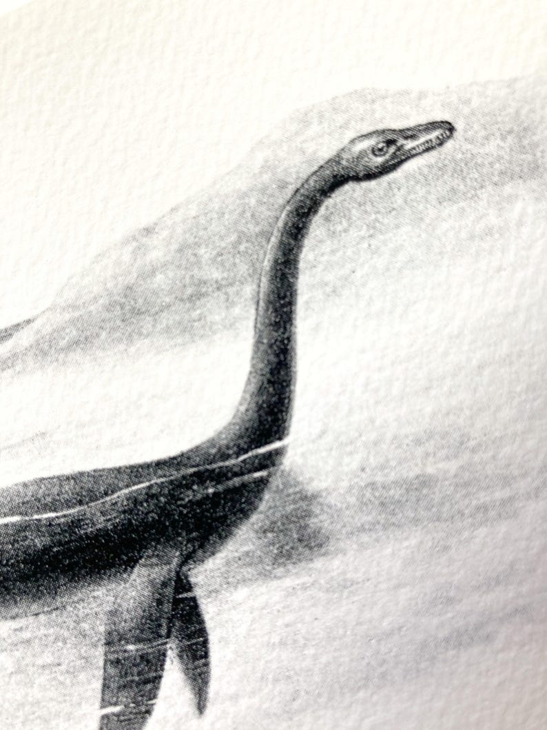 Nessie, Loch Ness Monster : Monster Series -OE-27- Fine art print of a vintage natural history academia scientific illustration. Cottagecore imagem 2