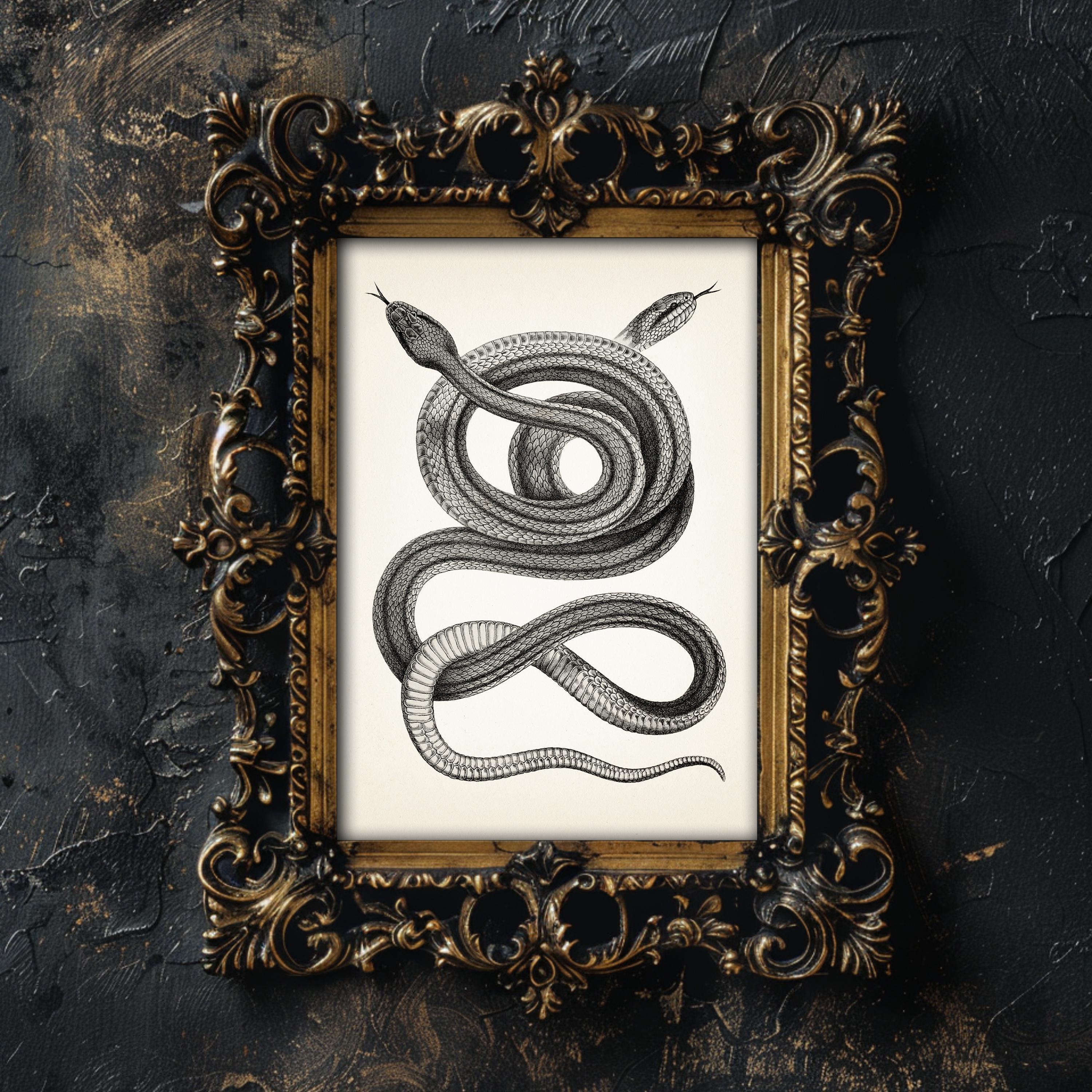Four-lined Snakes Intertwined - RE-09 - Fine Art Print of a