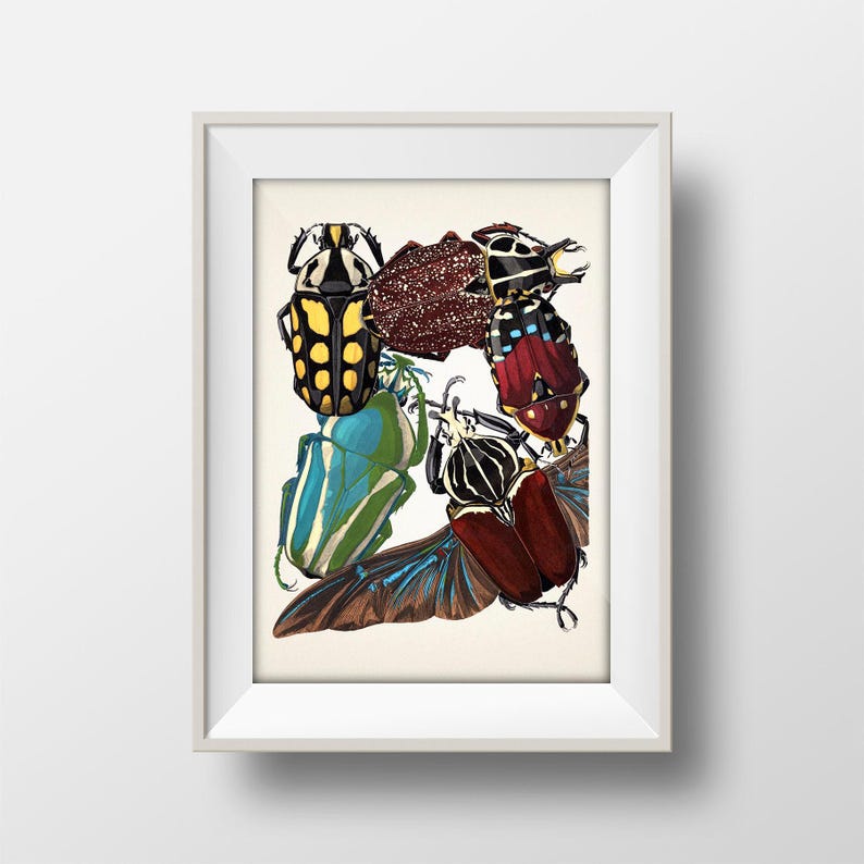 Insects No. 11 [1926] Insectes - IN-51 - Fine Art Print of a Vintage ...