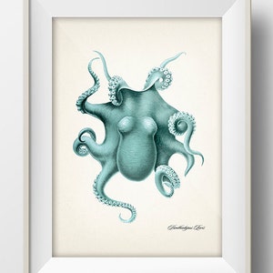 Blue Octopus 1 (Benthoctopus Levis)- OC-05 - Fine art print of a vintage natural history academia illustration