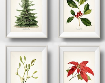 Holly Plant Christmas Botanical Print - Holiday Wall Art - INCLUDES ...