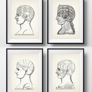Phrenology Prints - Set of Four - 1899 - PP 11-14 - Fine art print of a vintage scientific or pseudoscience academia medical illustration