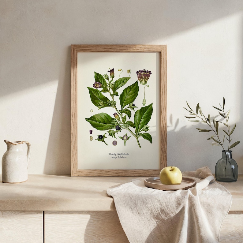 a framed botanical illustration of a plant with green leaves and purple flowers, placed on a wooden shelf next to a vase with a plant and a plate with a yellow apple.
