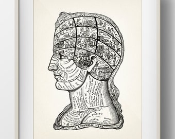 A Symbolic Head Phrenology Print - 1899 - PP-11 - Fine art print of a vintage scientific or pseudoscience academia medical illustration