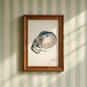 May include: A framed vintage illustration of a nautilus, featuring a detailed depiction of the marine creature in shades of blue, green, and cream. The artwork is encased in a brown wooden frame, displayed against a striped wall.