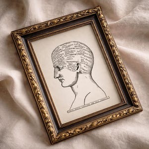 Twelve Mental Functions Phrenology - 1899 - PP-12 - Fine art print of a vintage scientific or pseudoscience academia medical illustration