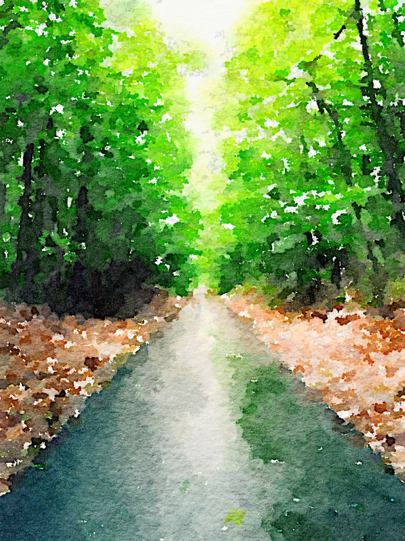 Lake Trail Print