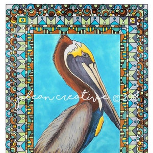 Pellicano # 1