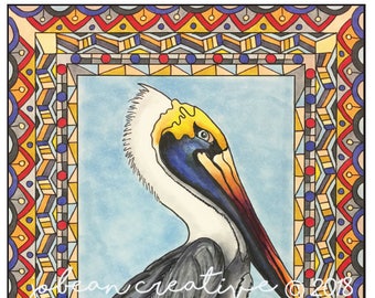 Pellicano #2