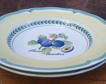 Villeroy & Boch french garden set of 2x soup plates Valencia 22.5 cm