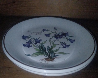May include: White ceramic dish with a floral design featuring blue bellflowers, green leaves, and brown roots. The dish has a brown rim and the text "Campanula rotundifolia".