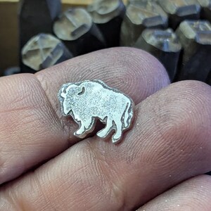 Bison image 5