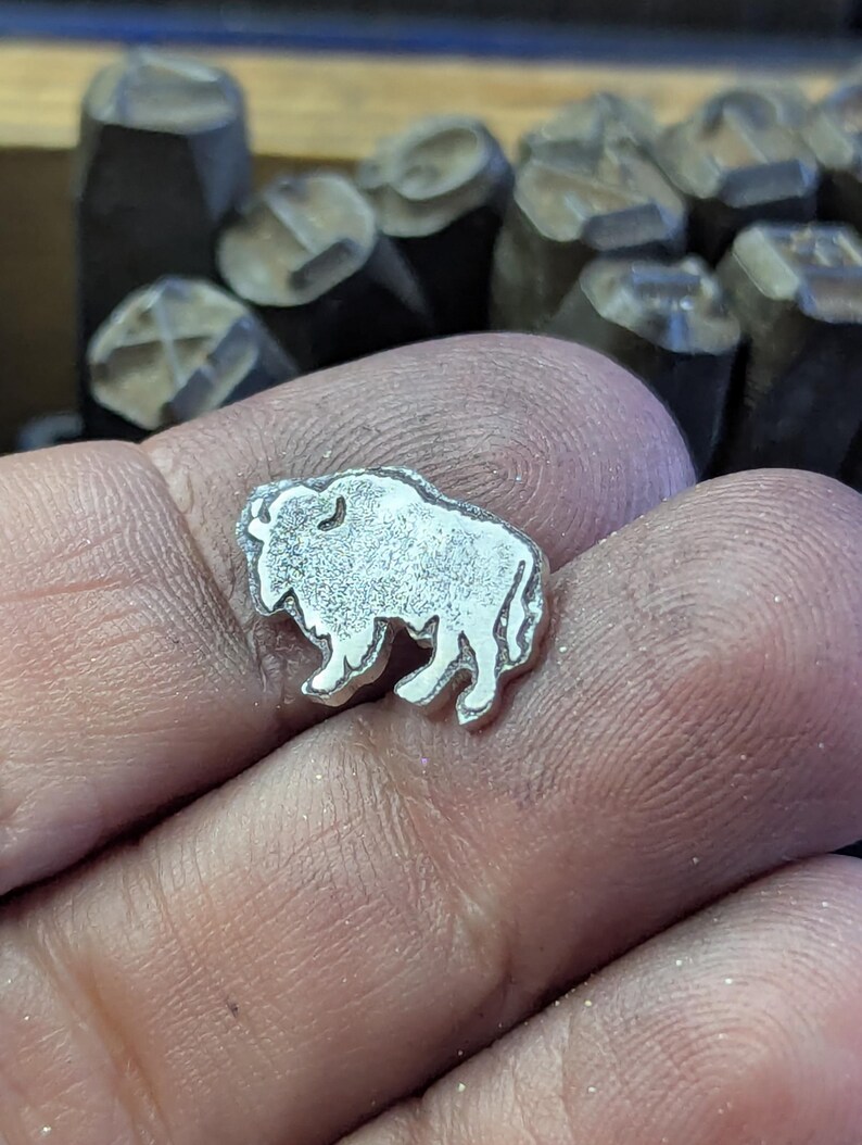 Bison image 5