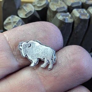 Bison