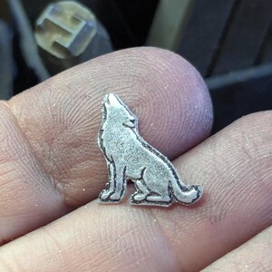 Coyote