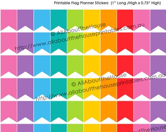 Flag Planner Stickers Printable Banner Bunting 1" H x 0.75" W made for Erin Condren, Plum Paper or other planner Rainbow DIY  F025