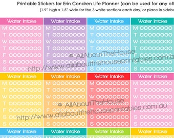 Hydrate Planner Stickers weekly sidebar daily routine habit tracker h20 water intake Printable Full Box Erin Condren functional Rainbow FB78