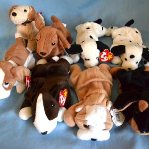 May include: A collection of plush dog toys in various breeds and colors, including tan, brown, black, and white. Some have tags attached. The toys are arranged on a blue surface.