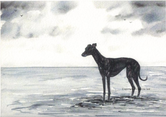 LARGE Whippet greyhound PUPPY DOG Watercolor painting A3 size By Bridgette Lee