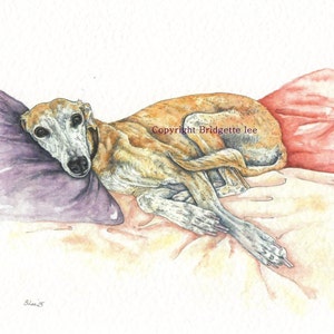 Pintura A4 de galgo whippet... Uma pintura em aquarela e tinta