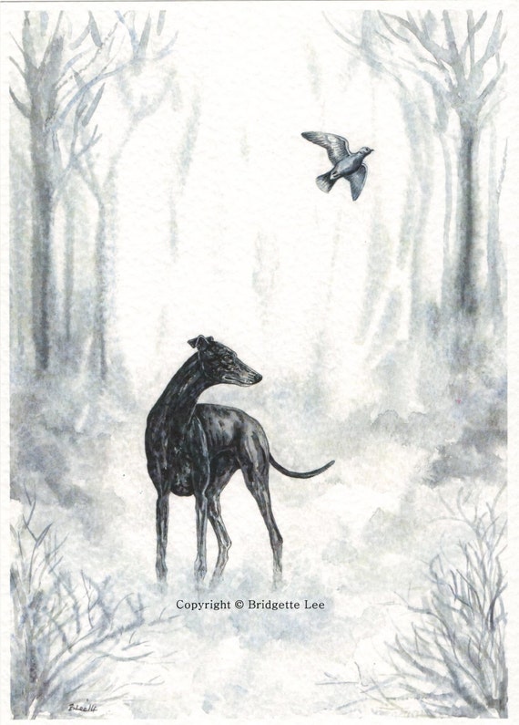 LARGE Whippet greyhound PUPPY DOG Watercolor painting A3 size By Bridgette Lee