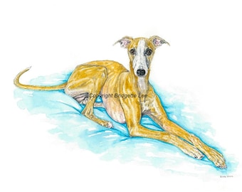 A3 whippet greyhound painting...A Watercolor and Ink Painting/Print