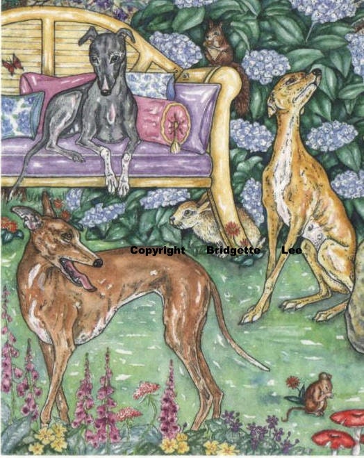 Whippet greyhound Dog Garden Watercolor/ink  painting 11 Dogs By Bridgette Lee 