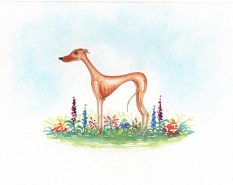 ORIGINAL PAINTING of a Whippet greyhound painting...Super Skinny Sight hound, a Watercolor and Ink Painting