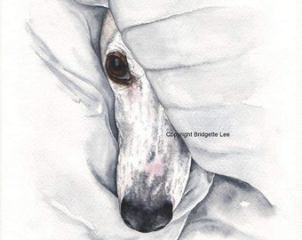 A4 whippet greyhound painting..feeling cozy, a Watercolor and Ink Painting