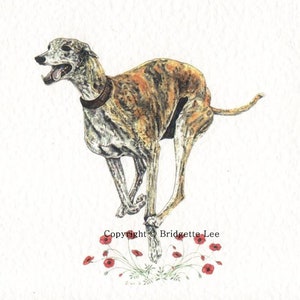 A4 Whippet Windhund Malerei. Ein Aquarelldruck/Gemälde