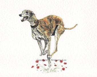 Op de afbeelding: Een aquarel van een windhond die rent met een rood klaproosveld op de achtergrond. De hond is bruin en zwart met een witte borst en een zwarte halsband. Het schilderij is gesigneerd met "Copyright © Bridgette Lee".