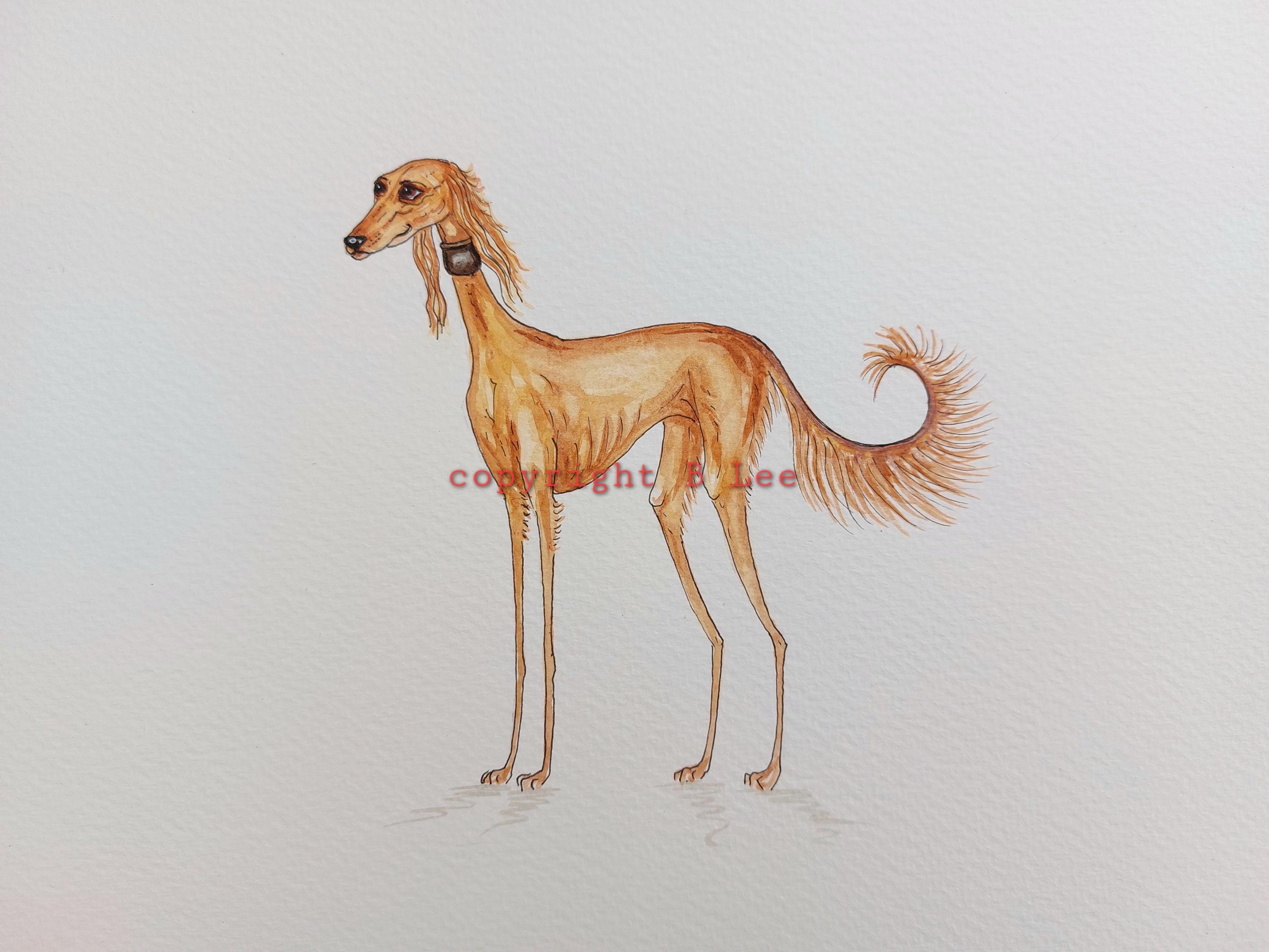 Whimsicalpooches Canada