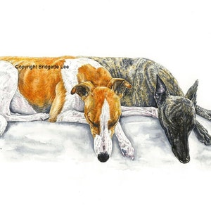 A4 whippet greyhound painting.... Peaceful Slumber A Watercolor and Ink Painting
