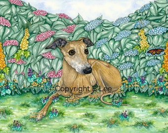 A4 whippet greyhound painting....The Beautiful Garden. A Watercolor and Ink Painting/print