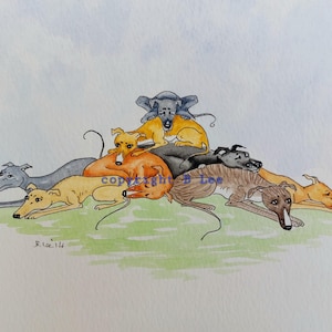 ORIGINAL PAINTING of a Whippet greyhound ...Super Skinny Sight hound, a Watercolor and Ink Painting
