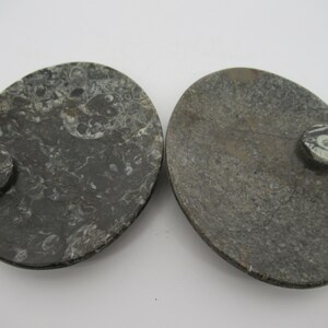 Oval Polished Orthoceras and Ammonite Fossil Serving Dishes Natural Stone Handmade