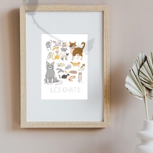 Les Chats "The Cats"