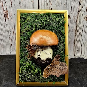 Brown Mushroom Nature Scene, Cottage Core Decor, Goblin Core Decor, Mushroom Garden Scene, Mushroom Decor, Forest Decor, Copper Mushroom Sce