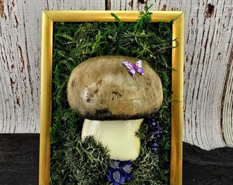 Escena de naturaleza con hongos marrones, decoración de cabaña, decoración de duendes, escena de jardín de hongos, decoración de hongos, decoración de bosque, amante de los hongos