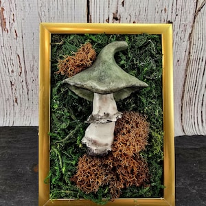 Polymer Clay Mushroom Art, Whimsical Mushroom, Cottage Core Decor, Goblin Core Decor, Mushroom Garden Scene, Mushroom Decor, Forest Decor