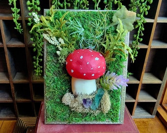 Escena natural con setas rojas en miniatura, decoración de cabaña, decoración de duendes, escena de jardín de setas, decoración de setas, decoración de bosque